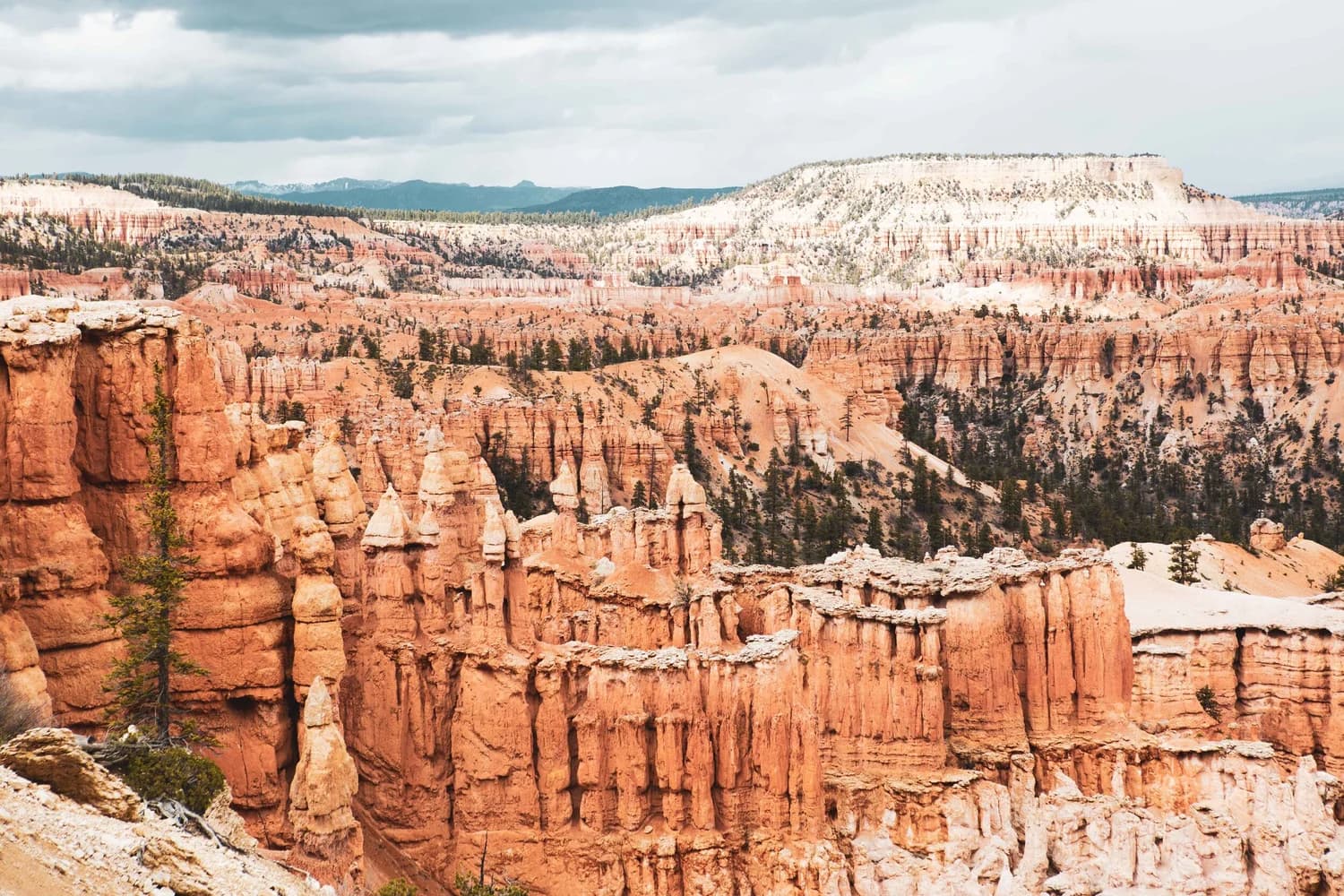 A wide amphitheater of sandstone hoodoos layered into the distance