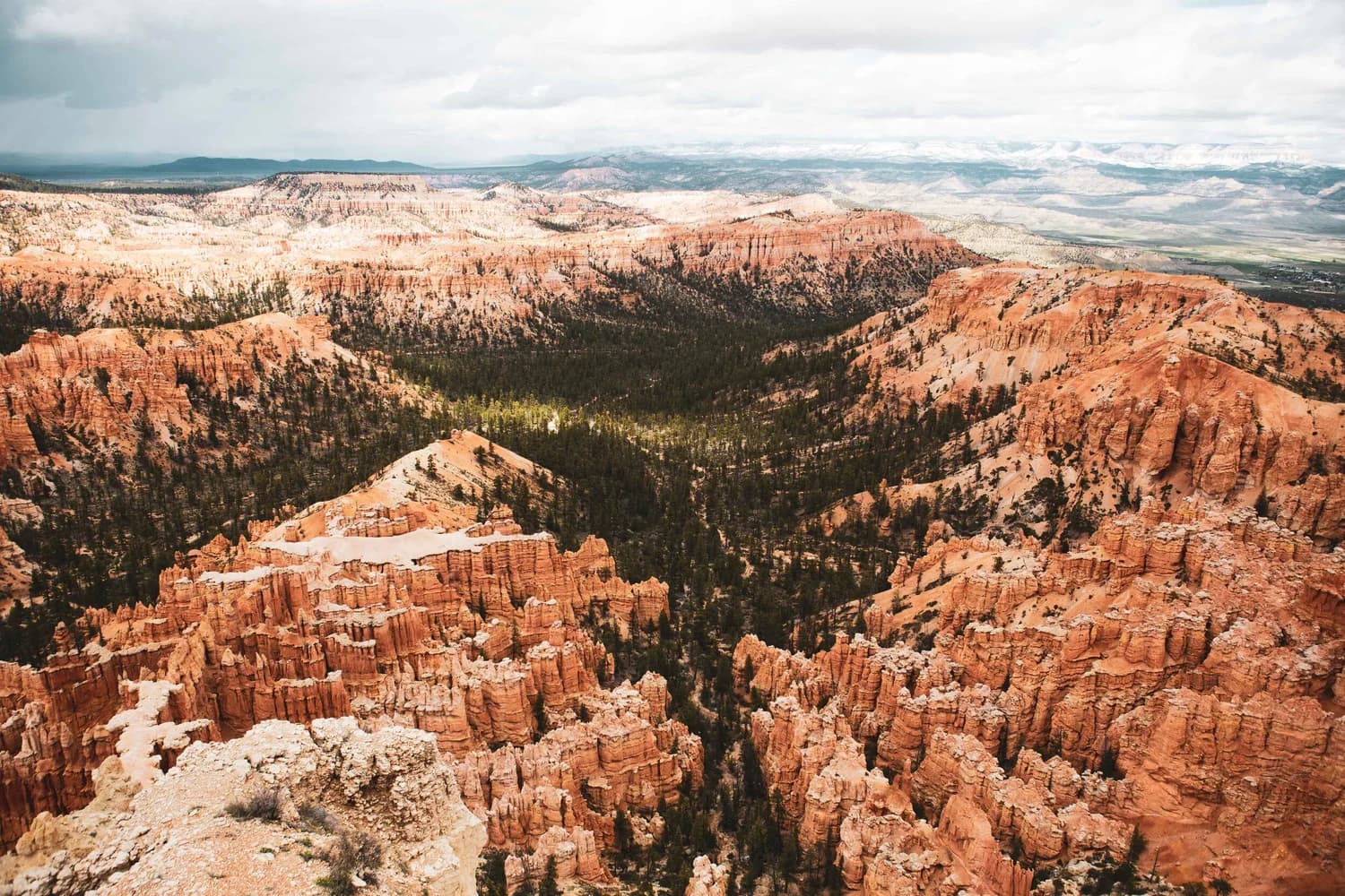 Sandstone canyon country receding into distant ridges under moody clouds