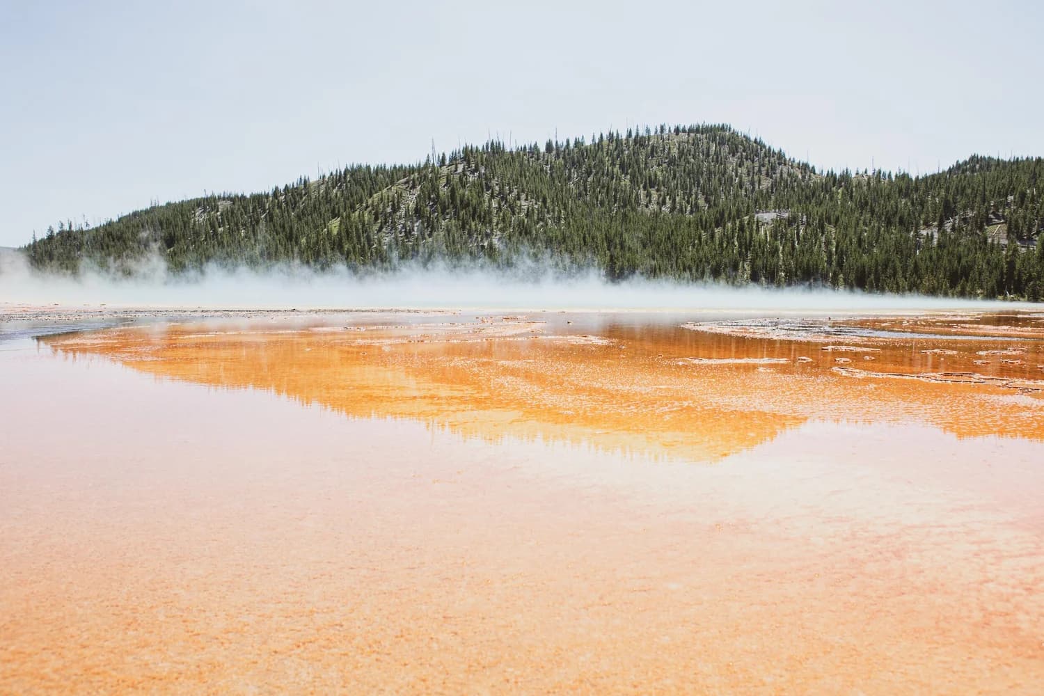 Steam rising from a warm spring in front of a forested hillside