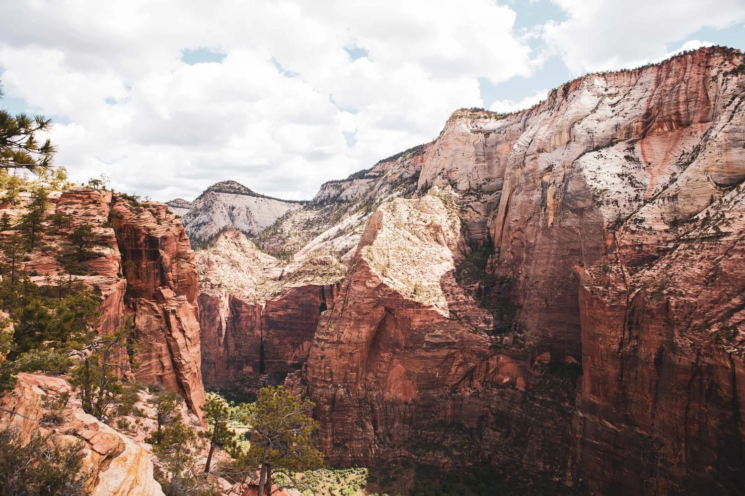 Red rock canyon walls and pines beneath a bright cloudy sky