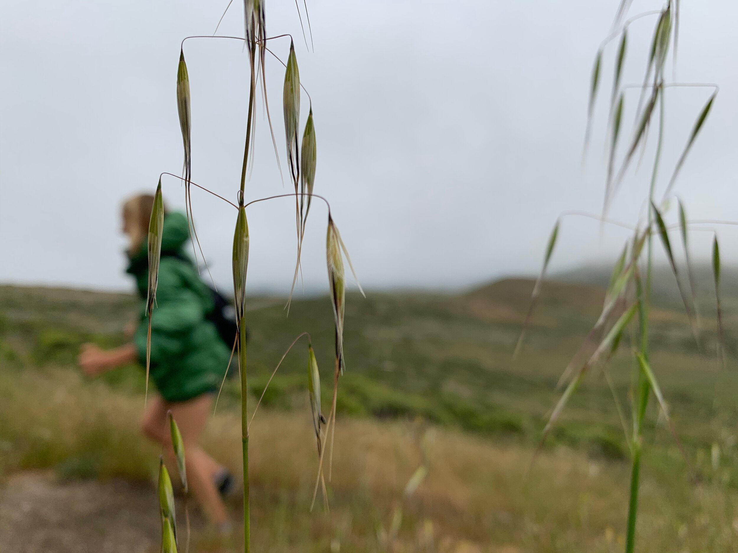 Brain Fog Part 2: Movement